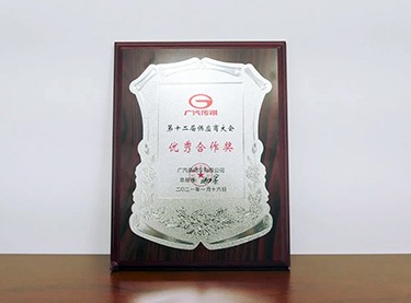 廣汽傳祺優(yōu)秀合作獎(jiǎng)